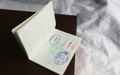 Descubre los sellos internacionales más populares para complementos y suplementos en LATAM