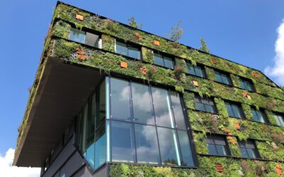 Incorporando el upcycling: cómo las empresas modernas pueden marcar la diferencia