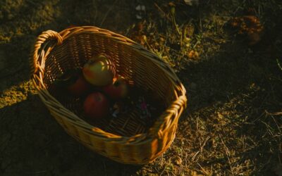 ¡Renueva tus regalos corporativos! Descubre cómo crear experiencias memorables para tus clientes y empleados