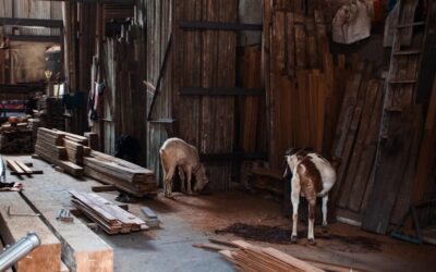 Potencia la creatividad en tu equipo de trabajo con talleres creativos para RRHH