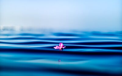 Mejora tu salud mental con un programa de bienestar emocional a medida