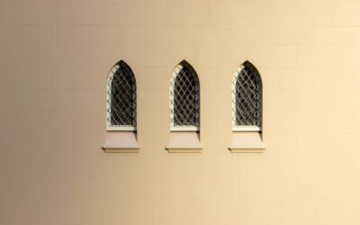 El arte de la selección: Por qué menos referencias pueden convertirse en tu mejor estrategia de ventas