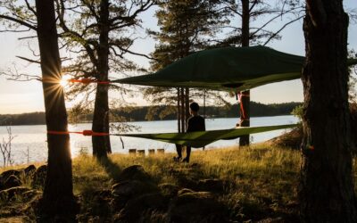 Más allá del team building tradicional: estrategias efectivas para fortalecer el equipo